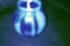blueblur.jpg (31399 bytes)