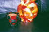 orange.jpg (66337 bytes)