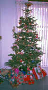 ourtree.jpg (78112 bytes)